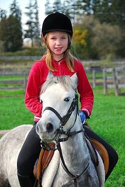 top_equestrian_boarding_schools_