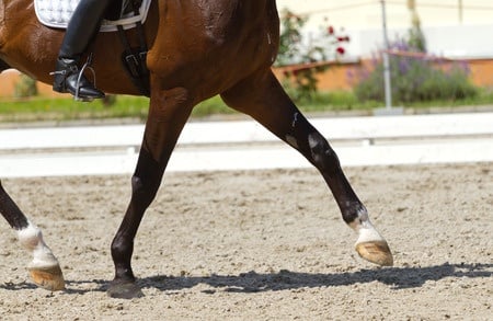 dressage-arena-construction