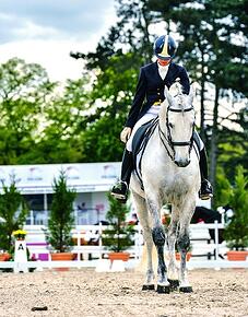 building_a_dressage_arena