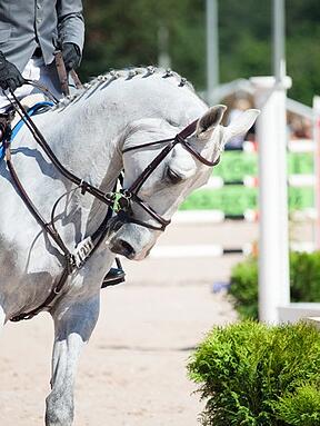 dressage_arena_size_(1)