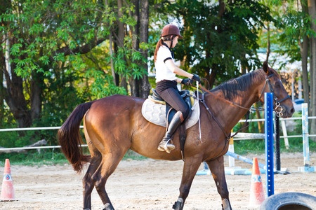 horse-in-ring