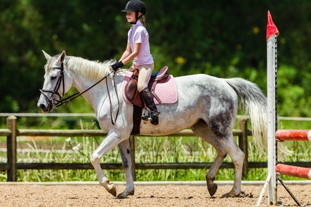 prevent_drainage_problems_in_equestrian_arena