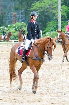 Reducing_Dust_in_Equestrian_Arenas