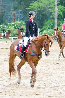 Reducing_Dust_in_Equestrian_Arenas