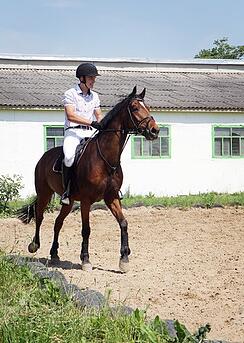 Quickly_fix_drainage_problems_in_equestrian_arena