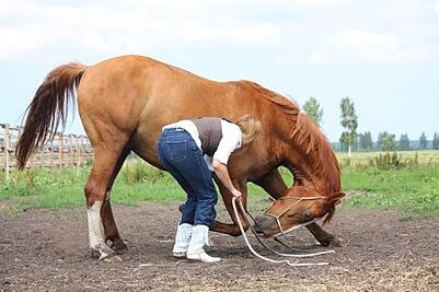 Trick Riders showcase Equestrian Footing