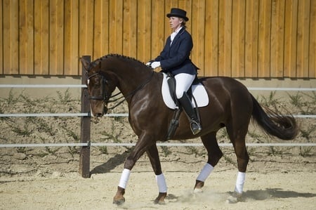 GGT Dressage Footing