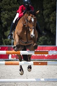 horse_jumps